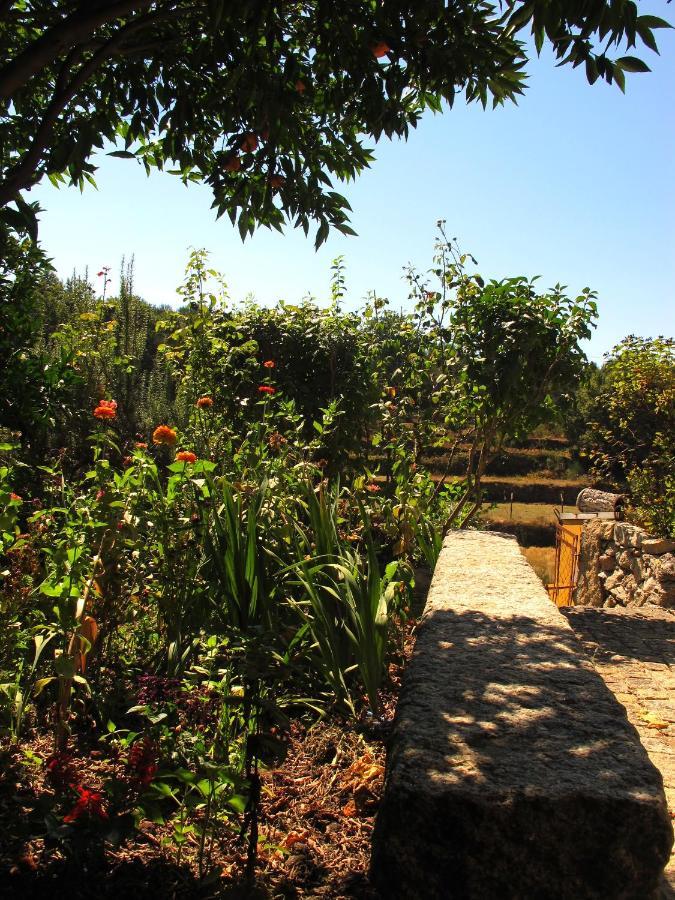 Casa Das Lapas Soajo Εξωτερικό φωτογραφία